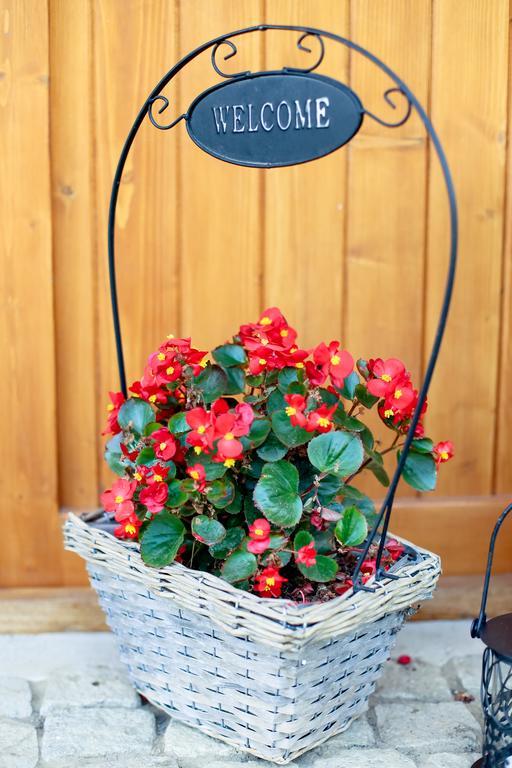 Landhaus Bed&Breakfast Vişeu de Sus Esterno foto